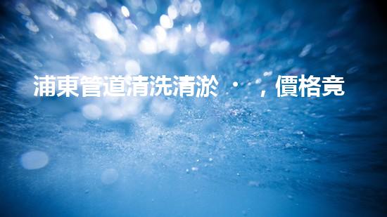 浦東管道清洗清淤，價格竟然如此驚人！